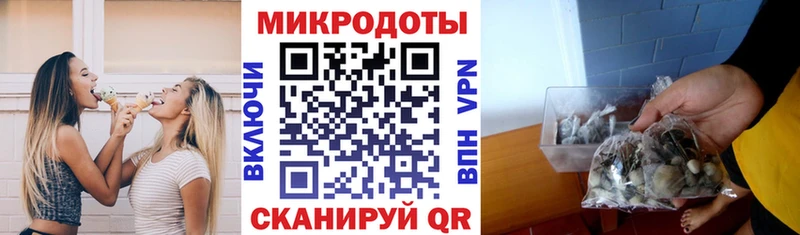 Галлюциногенные грибы Psilocybe цена наркотик Красноярск
